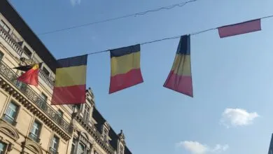 Bru17
